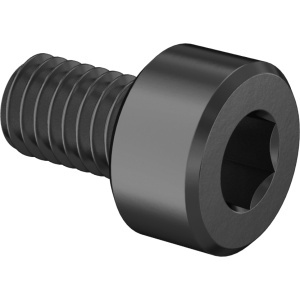 Brass Socket Head Screw M3 x 0.50 mm Thread size, 5 mm Long图4